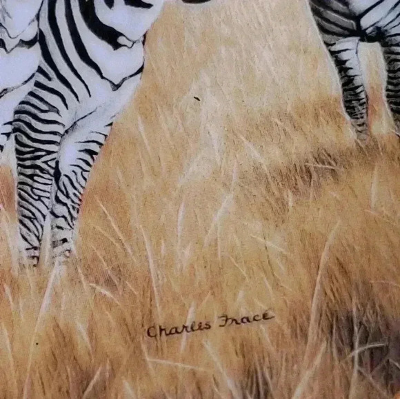 Zebra Undivided attention plate by  Charles France EUC - Picture 3 of 6